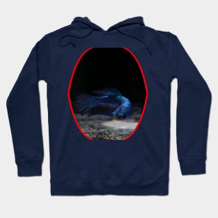 fish, cute fish, fish colorful, fish coral, beatiful fish Hoodie